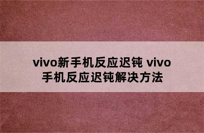 vivo新手机反应迟钝 vivo手机反应迟钝解决方法